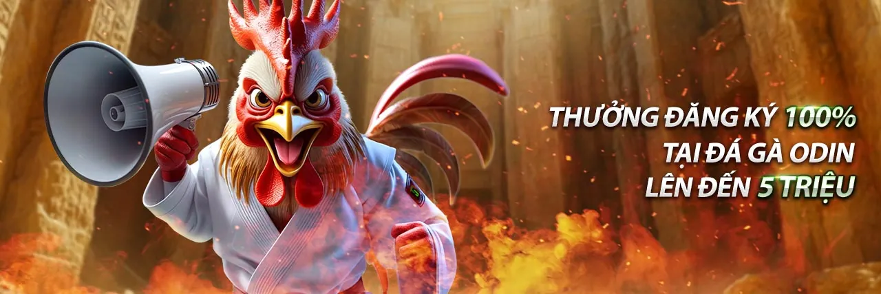 Hình ảnh minh họa Chính Sách Quyền Riêng Tư của 911Win, nhấn mạnh bảo mật dữ liệu và sự tin cậy.